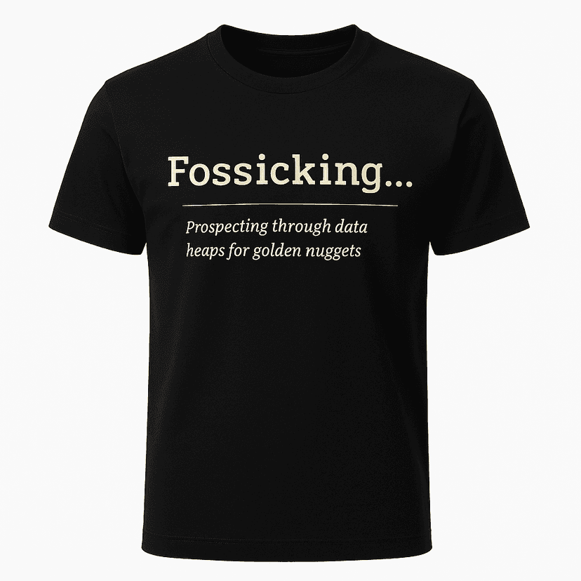 Fossicking Definition Tee